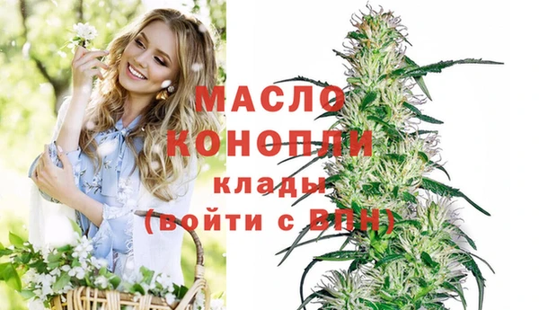молекула духа Приозерск